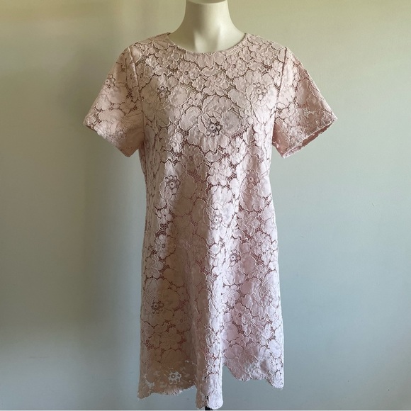 BCBGMaxAzria Diane Lace Mini Dress Pastel Pink Oversized With Slip Size Medium - Picture 16 of 16